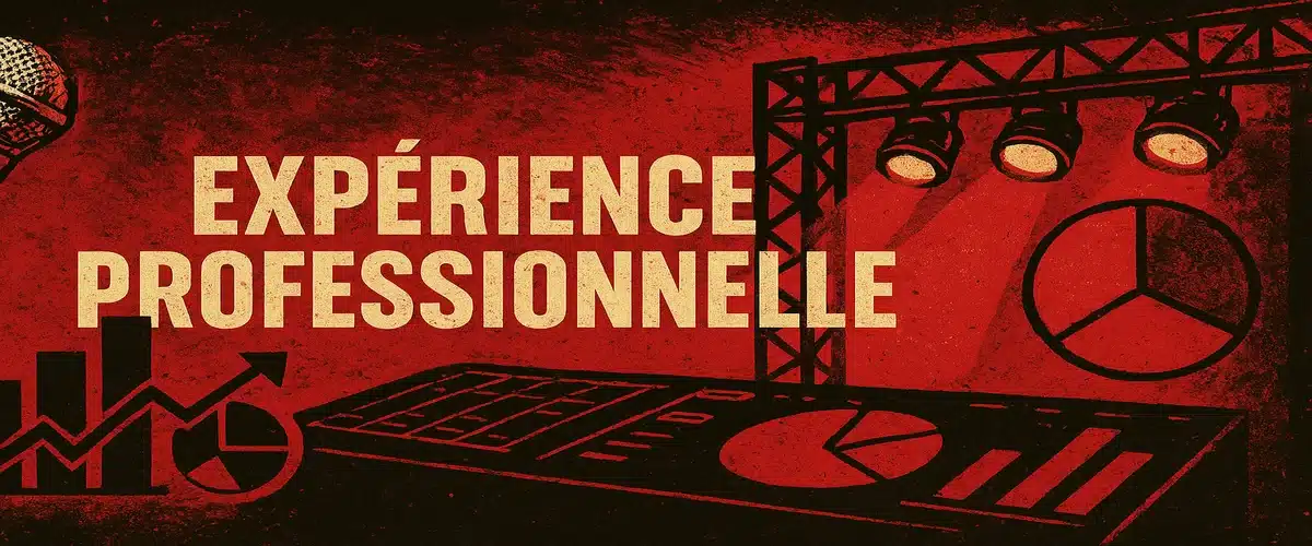 Experience professionnellle