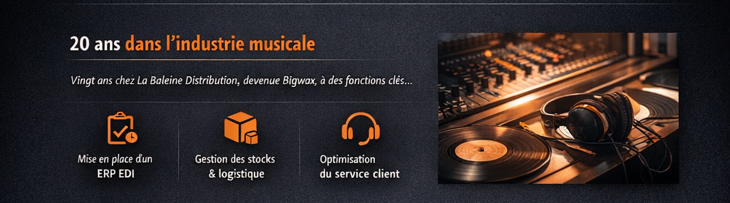 Parcours-professionnel-de-Yves-Le-LayDisque Expérience professionnelle