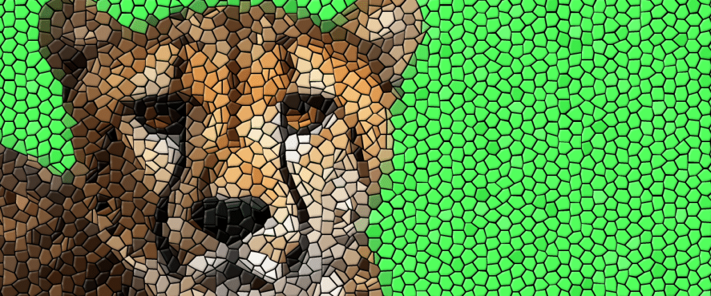 leopard-e1738851049408-1024x427 Portfolio
