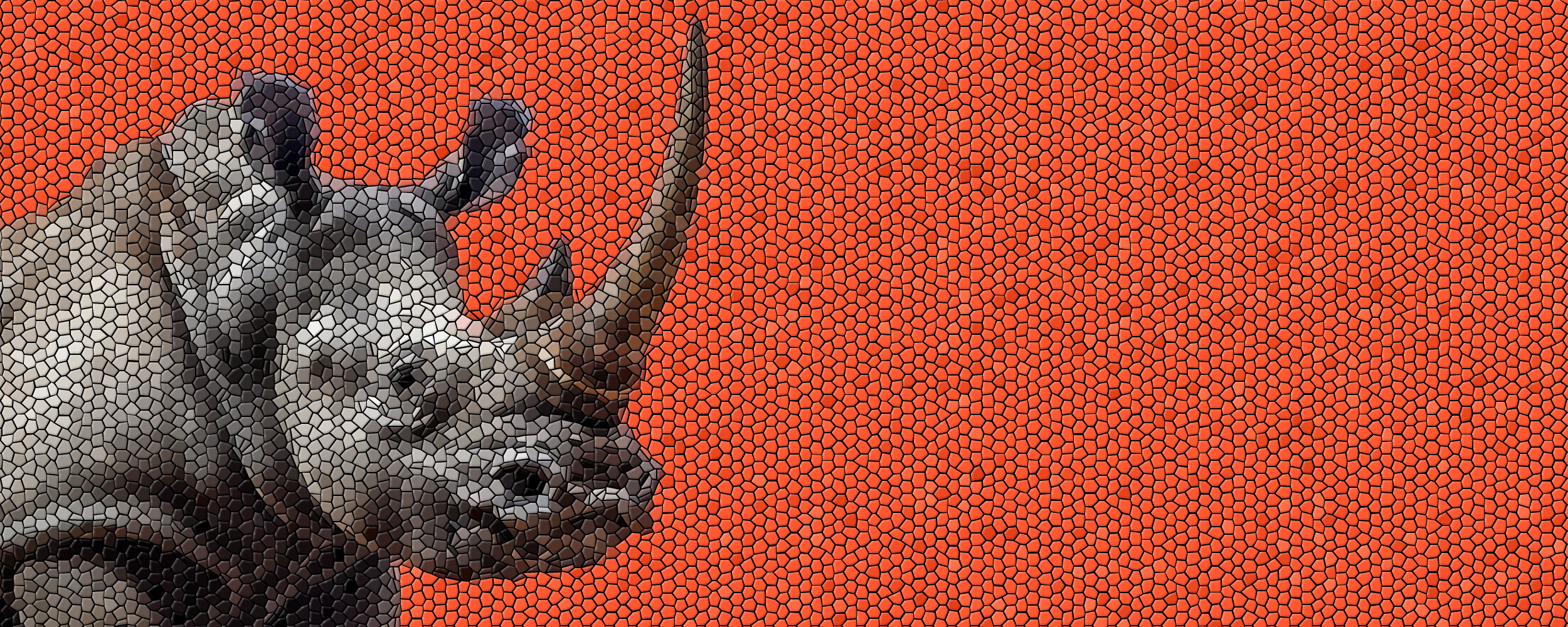 rhino Portfolio