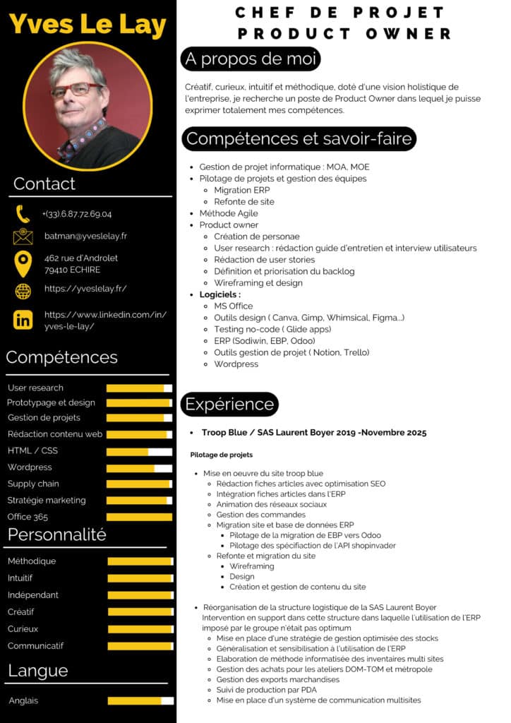 2025_CV_YvesLeLay_page1-724x1024 CV Téléchargeable