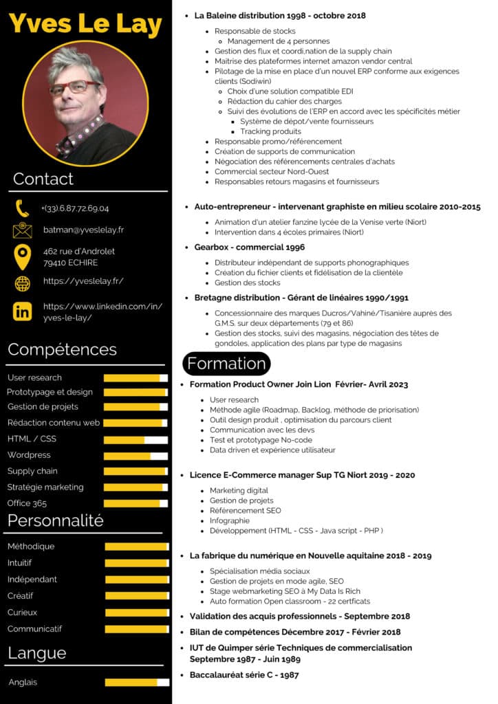 2025_CV_YvesLeLay_page2-1-724x1024 CV Téléchargeable